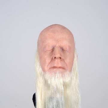 20 cm beards