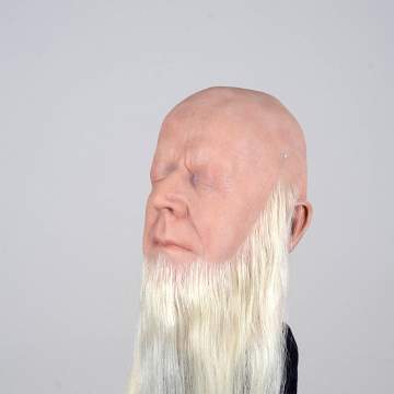 20 cm beards