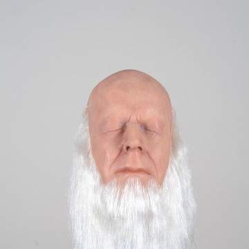 20 cm beards