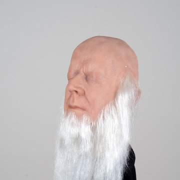 20 cm beards